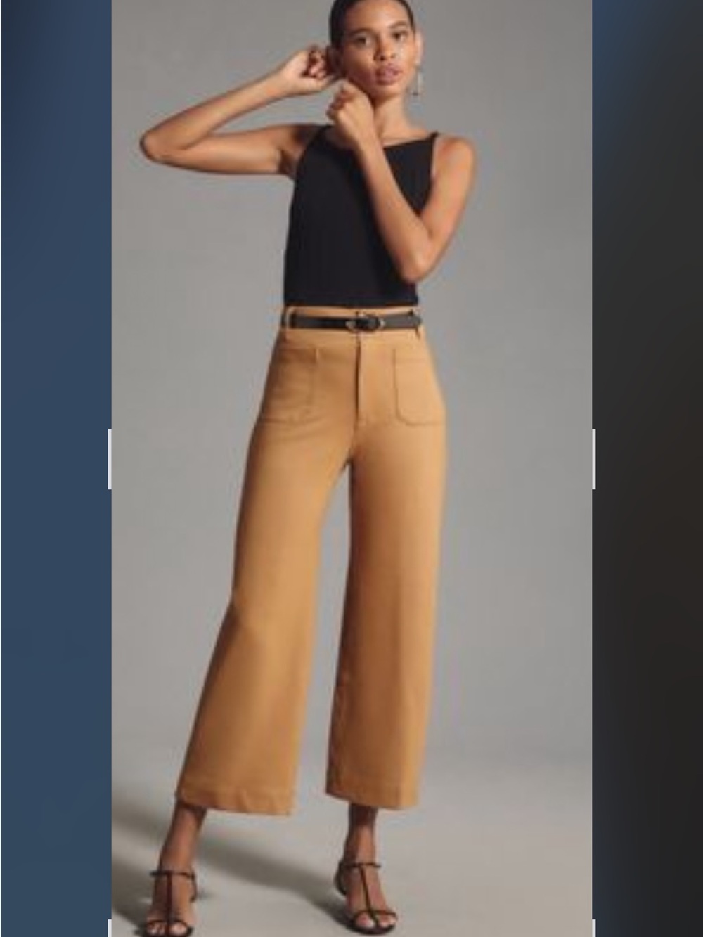 Maeve Colette Cropped Ponte Wide Leg Pants 27